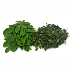 moringa leaves