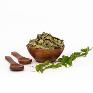 neem leaves