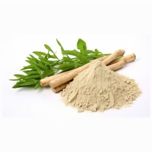 shatavari powder