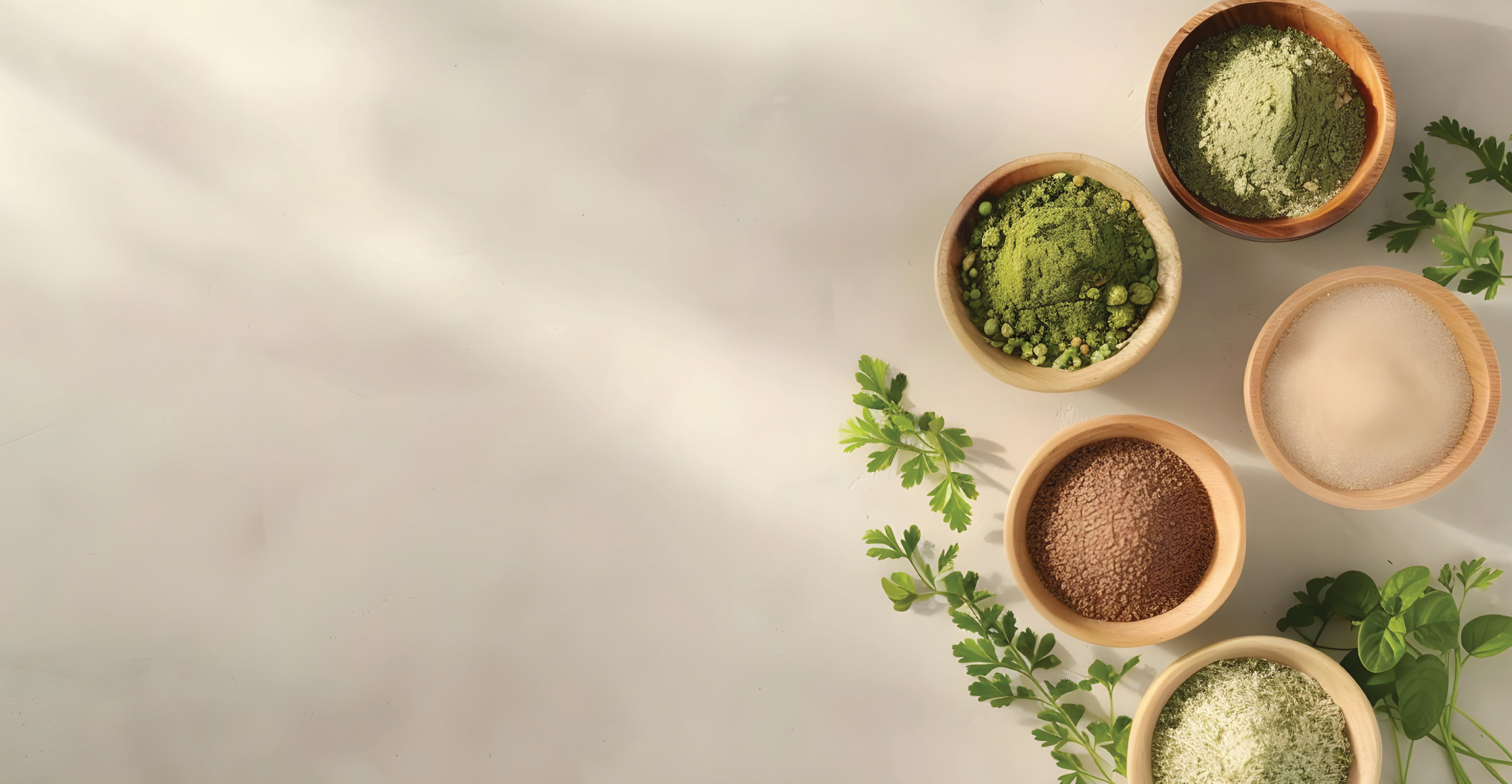 Ghanshyam & Company Natural Herbal Products