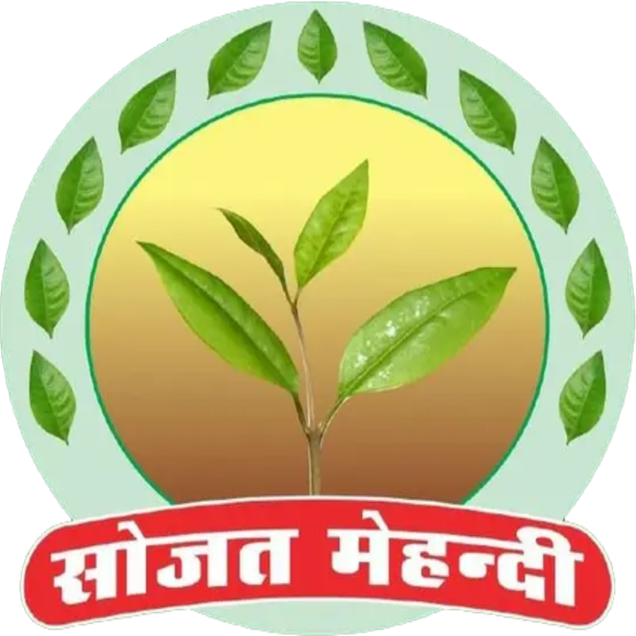 Ghanshyam & Company Certification