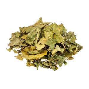 senna t cut leaves